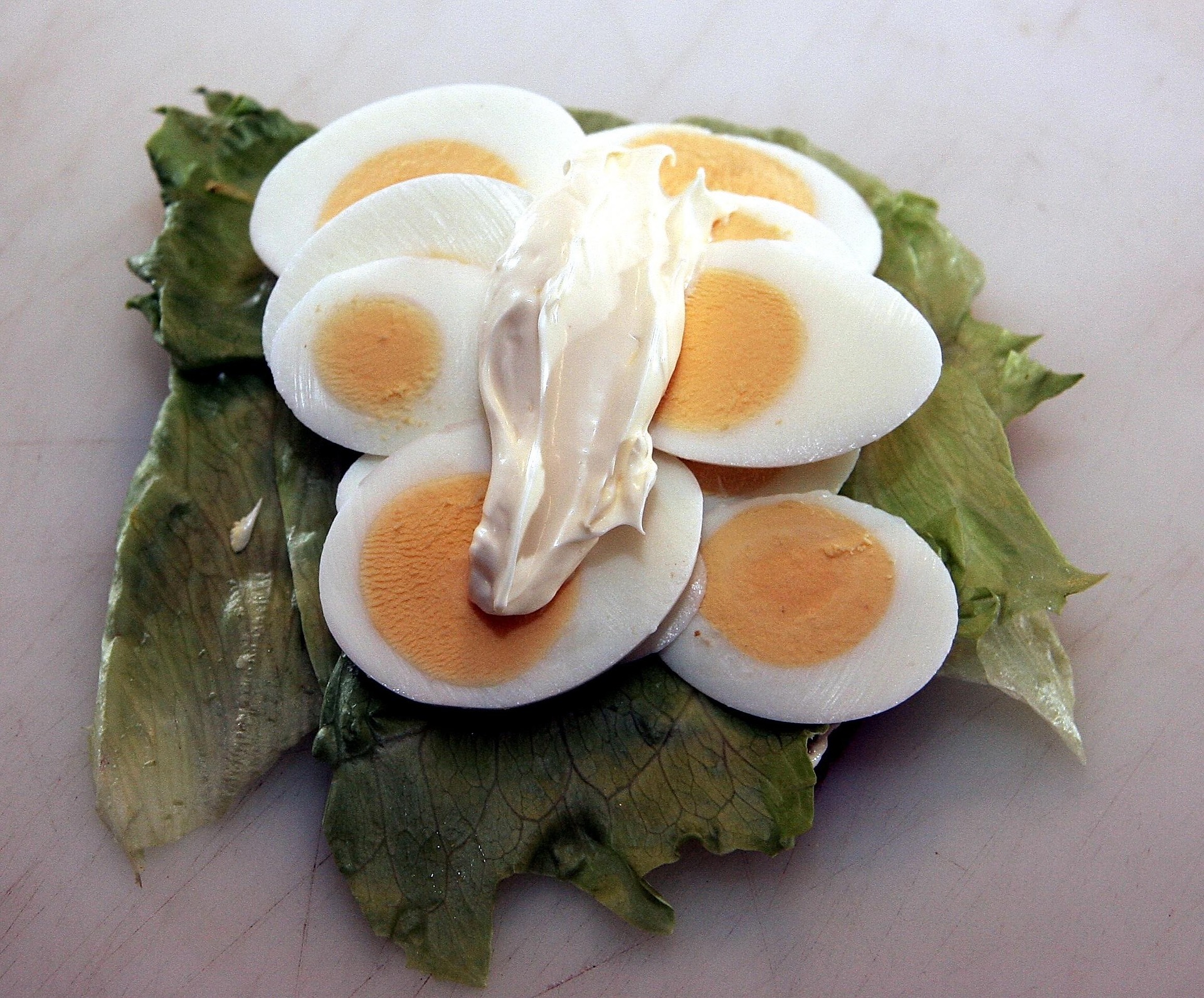salade niçoise